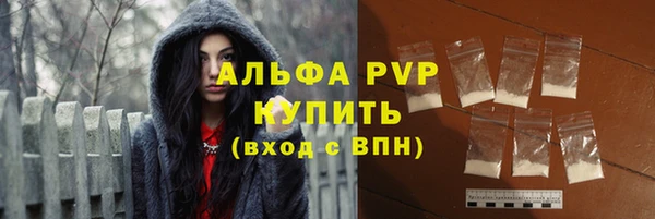 Альфа ПВП Белокуриха