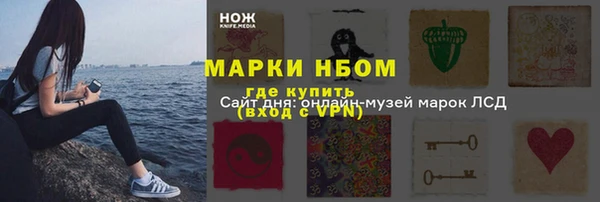 Альфа ПВП Белокуриха