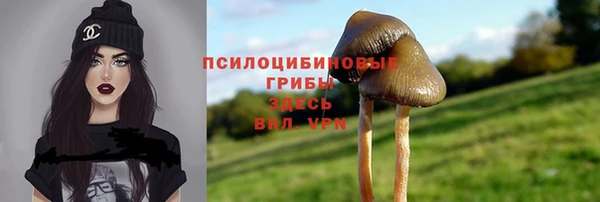 ALPHA PVP Беломорск