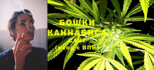 Альфа ПВП Белокуриха