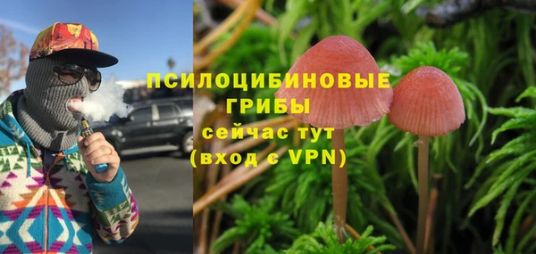 ALPHA PVP Беломорск