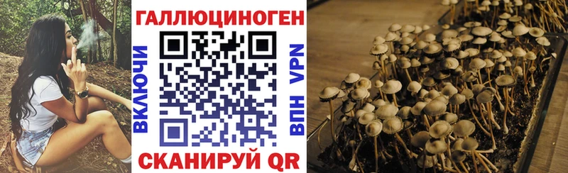 ОМГ ОМГ ссылки  Плёс  Галлюциногенные грибы прущие грибы 